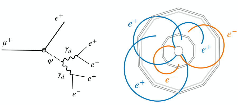 Fig. 1 from New physics in multi-electron muon decays