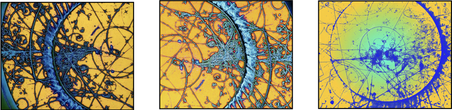 Photos of particle tracks in a bubble chamber with high yellow and blue contrast.